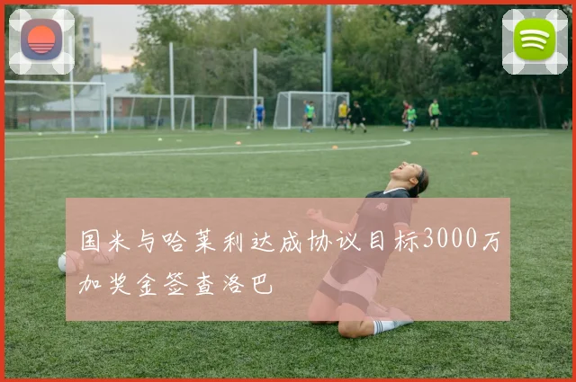 国米与哈莱利达成协议目标3000万加奖金签查洛巴